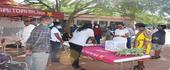 Vitória Diogo quer "Zero Malária" na Província de Maputo 