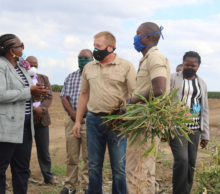 Visita de trabalho a empresa Carthage Limitada que produz papaia, gengibre e litchi no Distrito da Moamba, 1