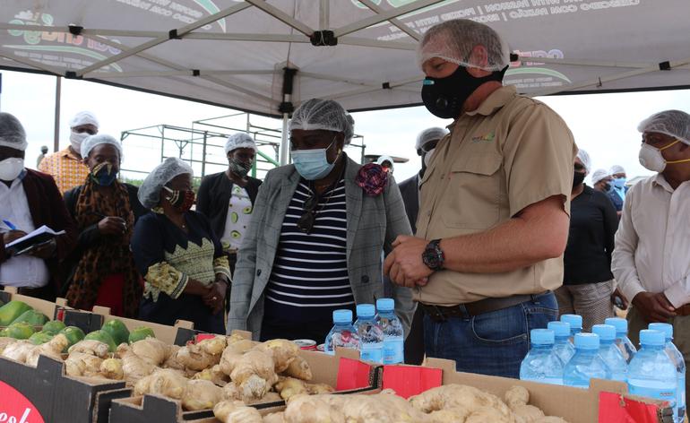 Visita de trabalho a empresa Carthage Limitada que produz papaia, gengibre e litchi no Distrito da Moamba, 5