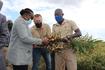 Visita de trabalho a empresa Carthage Limitada que produz papaia, gengibre e litchi no Distrito da Moamba