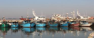 Aumento de pescadores ilegais preocupa Maputo