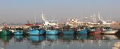 Aumento de pescadores ilegais preocupa Maputo
