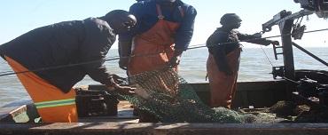 Fiscalizados barcos na Baia de Maputo Fiscalizados barcos na Baia de Maputo