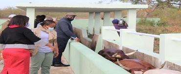 Governador de Maputo entrega infraestrutura para tratar mais de 10 mil cabeças de gado bovino em Mafuiane 