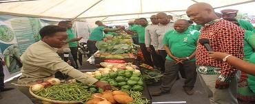 Lançada a Campanha Agrária 2018/19 na Província de Maputo Lançada a Campanha Agrária 2018/19 na Província de Maputo