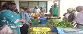 Mozal lança projecto para agricultores