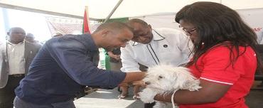 Província de Maputo celebra Dia Mundial da Raiva Província de Maputo celebra Dia Mundial da Raiva