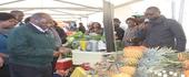 Província de Maputo lança campanha de comercialização agrária