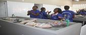 Província de Maputo recebe Mercado de Peixe