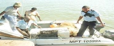 Urgente o combate cerrado da pesca ilegal ao longo da Costa Moçambicana